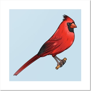 Northern cardinal bird cartoon illustration Posters and Art